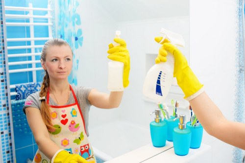 Curtain cleaning in an Earlsfield living room