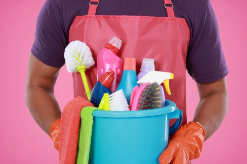 Professional curtain fabric care and dust removal