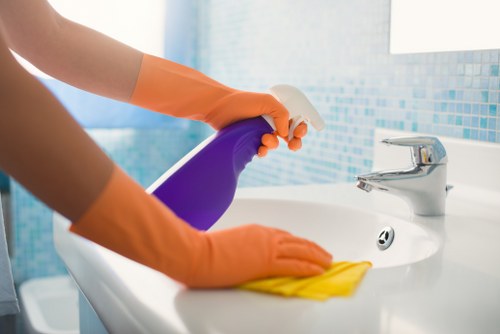 Cleaning products and safety checks used during carpet care