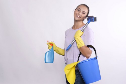 Fresh and hygienic sofa cleaning results in Earlsfield
