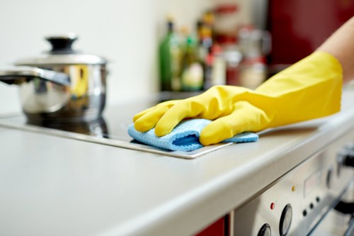 Accessibility request support for Earlsfield Carpet Cleaners
