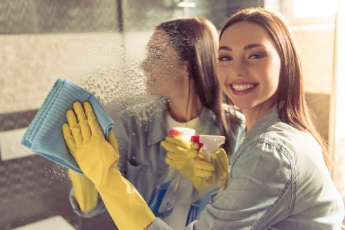 Professional pet stain and odour removal on upholstery