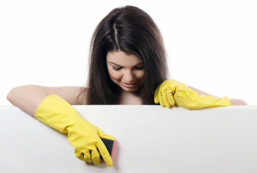 Professional carpet cleaner discussing service details and quotation